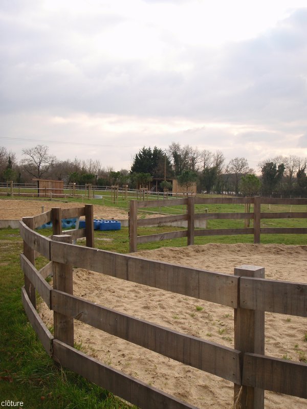 Carrière chevaux et clôture des parcs